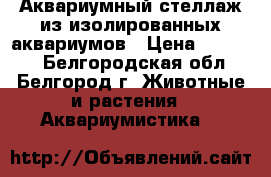 Аквариумный стеллаж из изолированных аквариумов › Цена ­ 22 000 - Белгородская обл., Белгород г. Животные и растения » Аквариумистика   